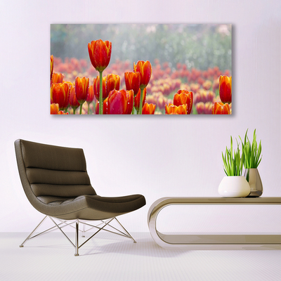 Glass Wall Art Tulips floral red