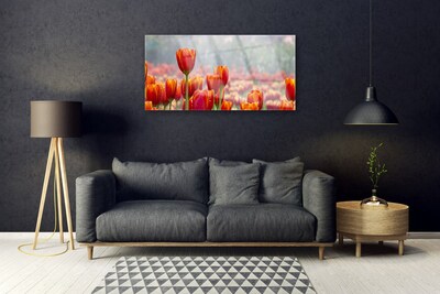 Glass Wall Art Tulips floral red