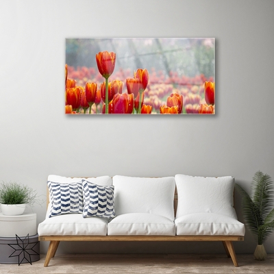 Glass Wall Art Tulips floral red