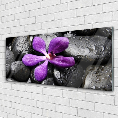 Glass Wall Art Flower stones art pink black