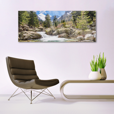 Glass Wall Art Mountain forest stones lake nature grey brown green white