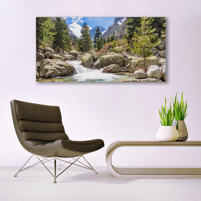 Glass Wall Art Mountain forest stones lake nature grey brown green white