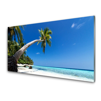 Glass Wall Art Beach palm tree sea landscape brown green blue