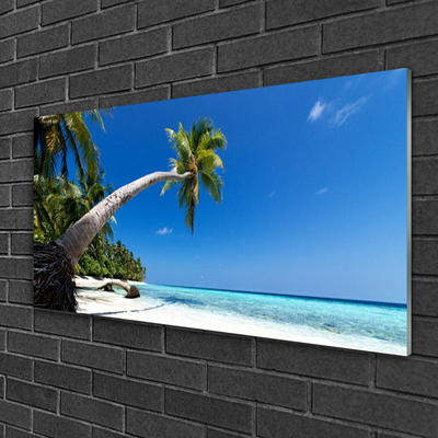 Glass Wall Art Beach palm tree sea landscape brown green blue