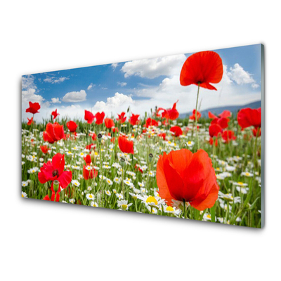 Glass Wall Art Meadow flowers nature red white green