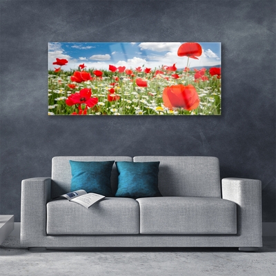 Glass Wall Art Meadow flowers nature red white green