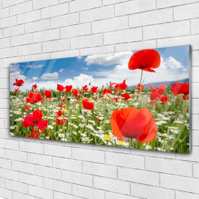 Glass Wall Art Meadow flowers nature red white green