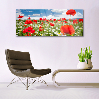 Glass Wall Art Meadow flowers nature red white green