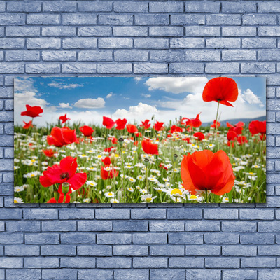 Glass Wall Art Meadow flowers nature red white green