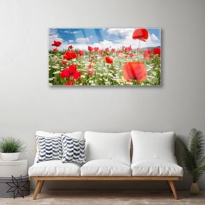 Glass Wall Art Meadow flowers nature red white green