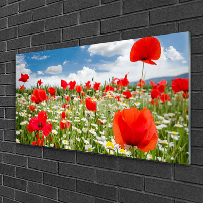 Glass Wall Art Meadow flowers nature red white green