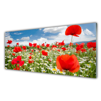 Glass Wall Art Meadow flowers nature red white green