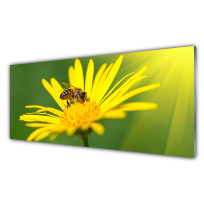 Glass Wall Art Wasp flower floral black yellow