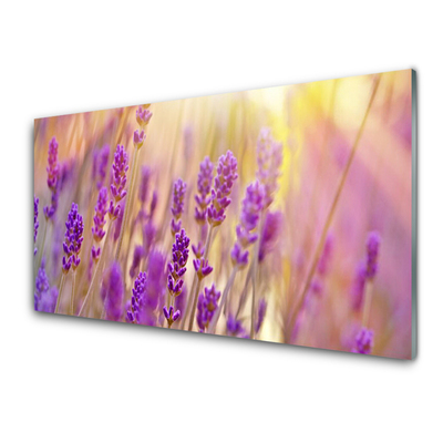 Glass Wall Art Flowers floral pink