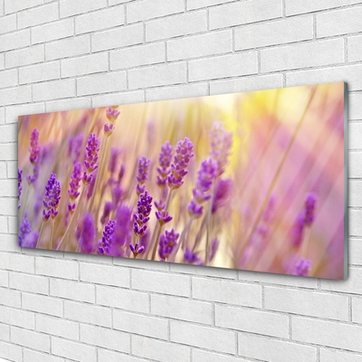 Glass Wall Art Flowers floral pink