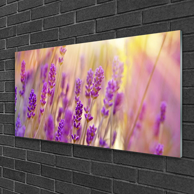 Glass Wall Art Flowers floral pink