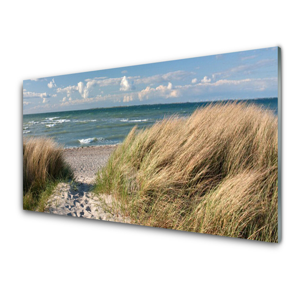 Glass Wall Art Footpath sea grass landscape brown blue green