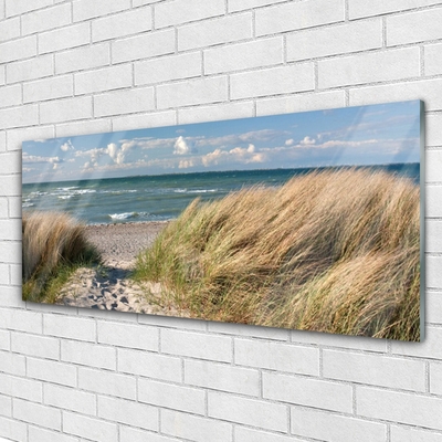 Glass Wall Art Footpath sea grass landscape brown blue green