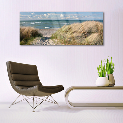 Glass Wall Art Footpath sea grass landscape brown blue green