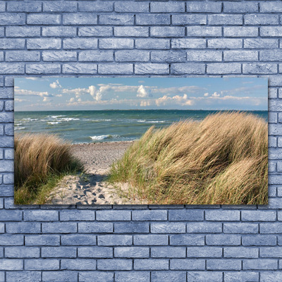 Glass Wall Art Footpath sea grass landscape brown blue green