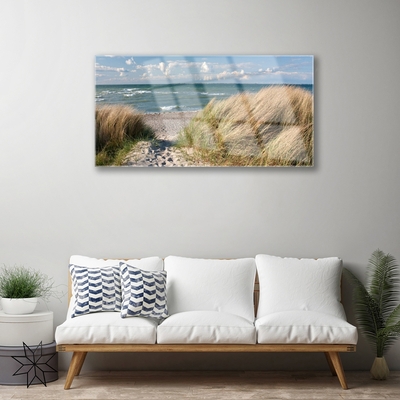 Glass Wall Art Footpath sea grass landscape brown blue green