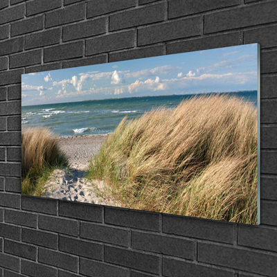 Glass Wall Art Footpath sea grass landscape brown blue green