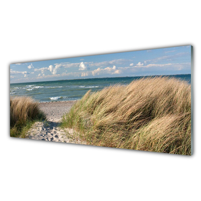 Glass Wall Art Footpath sea grass landscape brown blue green