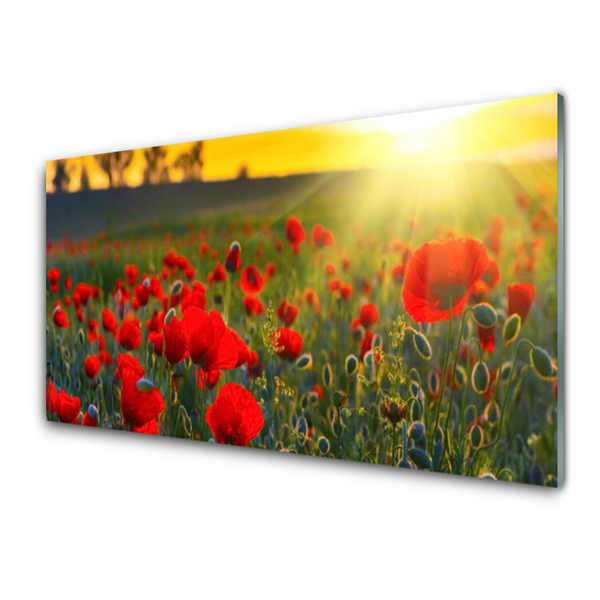 Glass Wall Art Meadow flowers nature red green