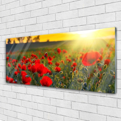 Glass Wall Art Meadow flowers nature red green