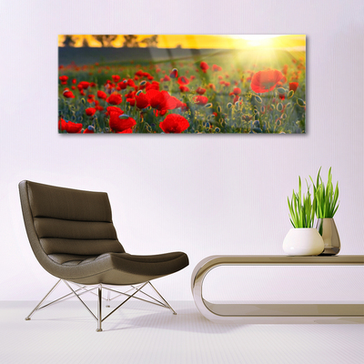 Glass Wall Art Meadow flowers nature red green