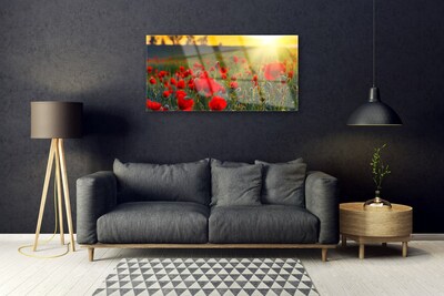 Glass Wall Art Meadow flowers nature red green