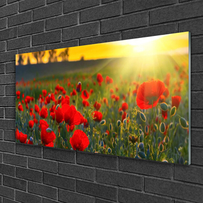 Glass Wall Art Meadow flowers nature red green