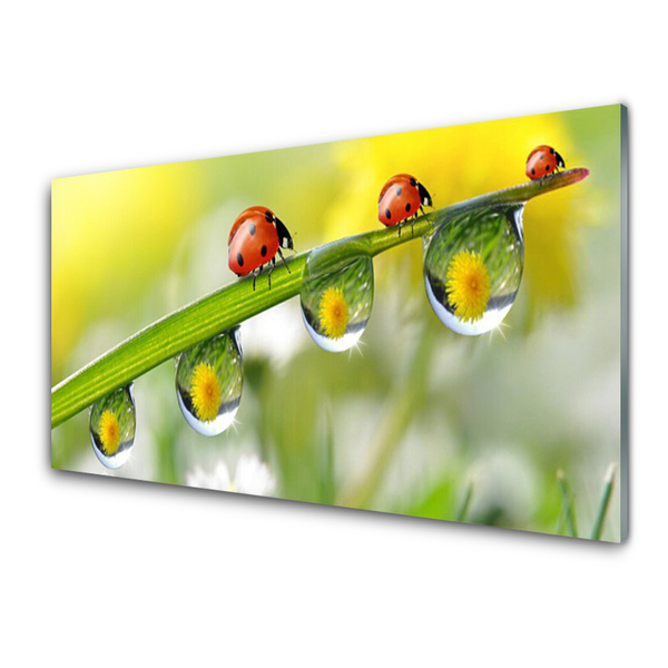 Glass Wall Art Leaf ladybug dewdropfen nature green red black