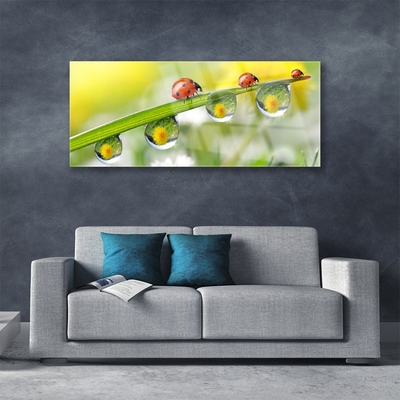 Glass Wall Art Leaf ladybug dewdropfen nature green red black