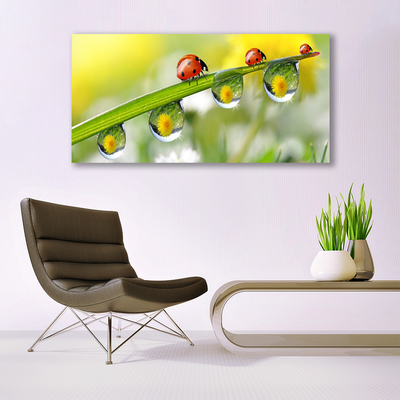 Glass Wall Art Leaf ladybug dewdropfen nature green red black