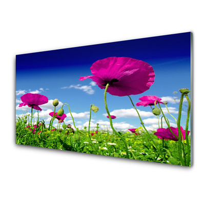 Glass Wall Art Meadow flowers nature red green