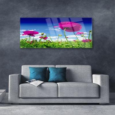 Glass Wall Art Meadow flowers nature red green