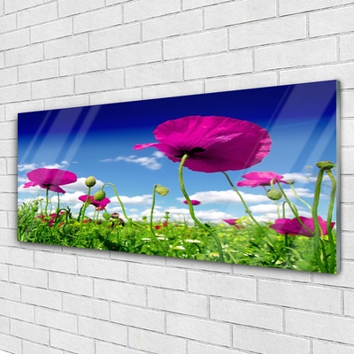 Glass Wall Art Meadow flowers nature red green