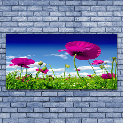 Glass Wall Art Meadow flowers nature red green