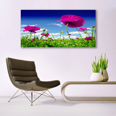 Glass Wall Art Meadow flowers nature red green