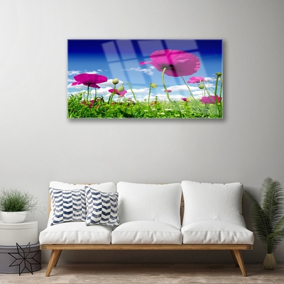 Glass Wall Art Meadow flowers nature red green