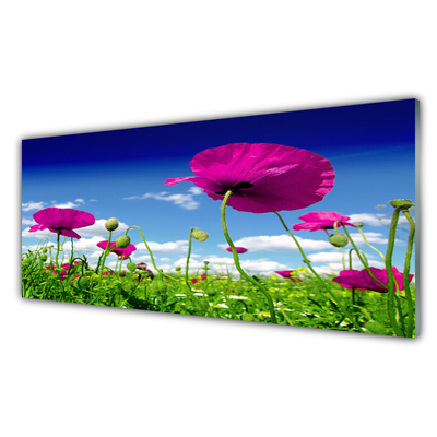 Glass Wall Art Meadow flowers nature red green