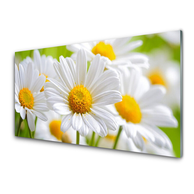 Glass Wall Art Daisy floral yellow white