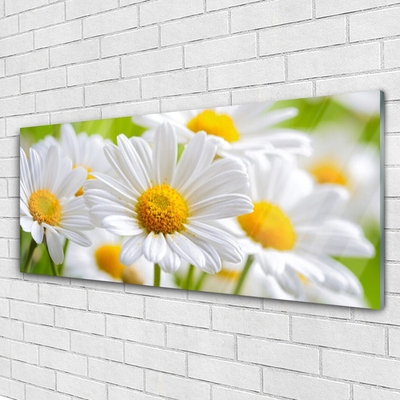 Glass Wall Art Daisy floral yellow white