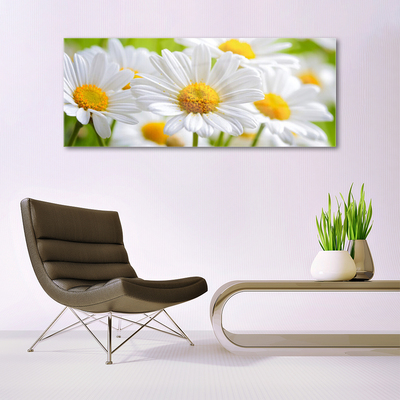 Glass Wall Art Daisy floral yellow white