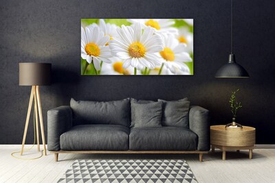 Glass Wall Art Daisy floral yellow white