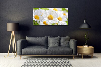 Glass Wall Art Daisy floral yellow white