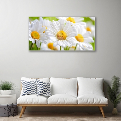 Glass Wall Art Daisy floral yellow white