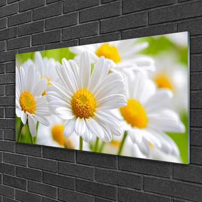 Glass Wall Art Daisy floral yellow white