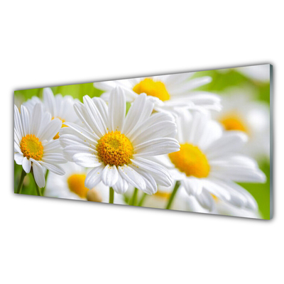 Glass Wall Art Daisy floral yellow white